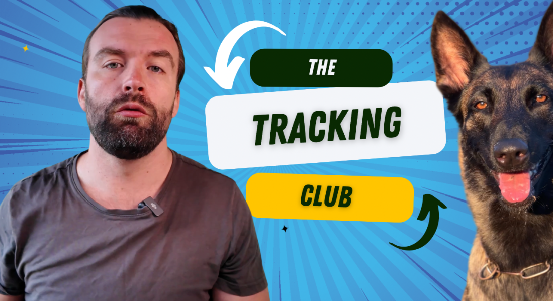 Blue Geometris Shockingly Attractive Youtube Thumbnail 3