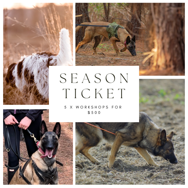 Season ticket Season ticket